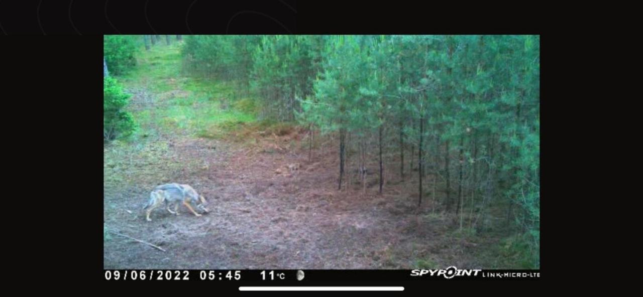 Jagd-Angler-Suite-04-Im-Wald-Am-See Kyritz Kültér fotó